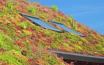 Lydiate Ash living roof systems