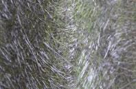 Lydiate Ash fibreglass roof work